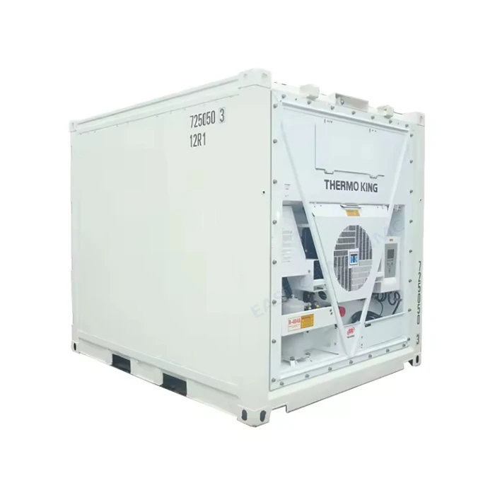 Container del serbatoio reefer da 10 piedi
